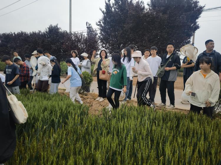 750-3. 李怡萍教授指導學生們進行麥田害蟲調查.jpg