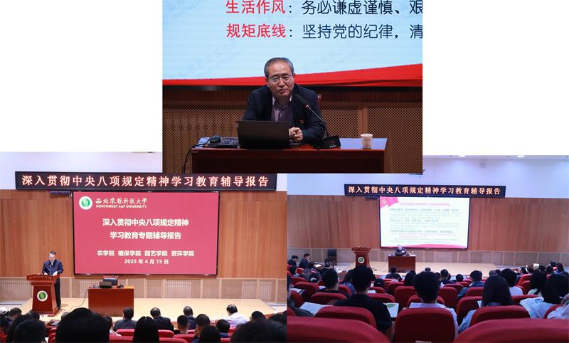 2.800陳紅書(shū)記專題輔導(dǎo)報(bào)告會(huì)圖片1.jpg