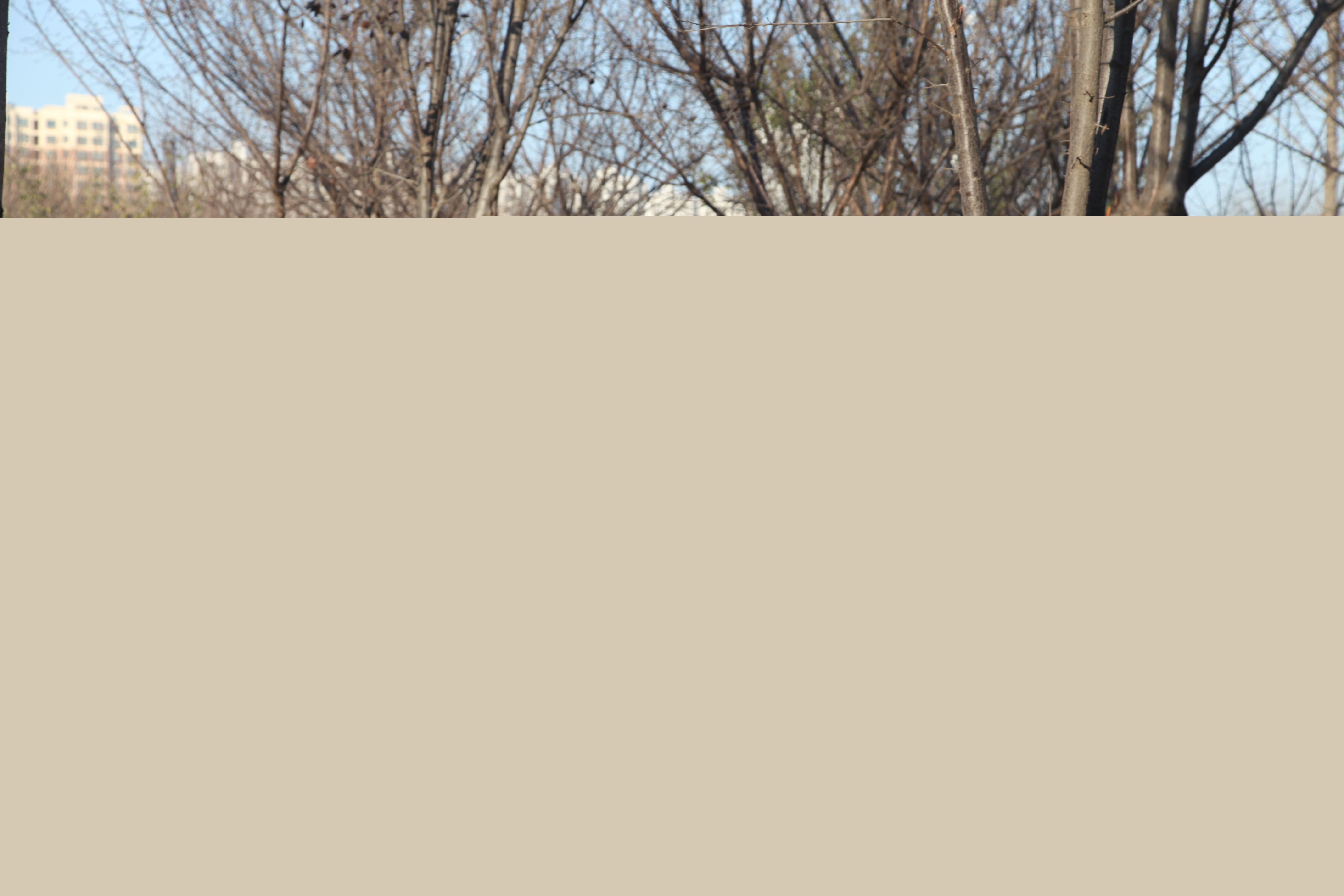 64937a56caa34ce7a9615ac6205c7dbb.jpg