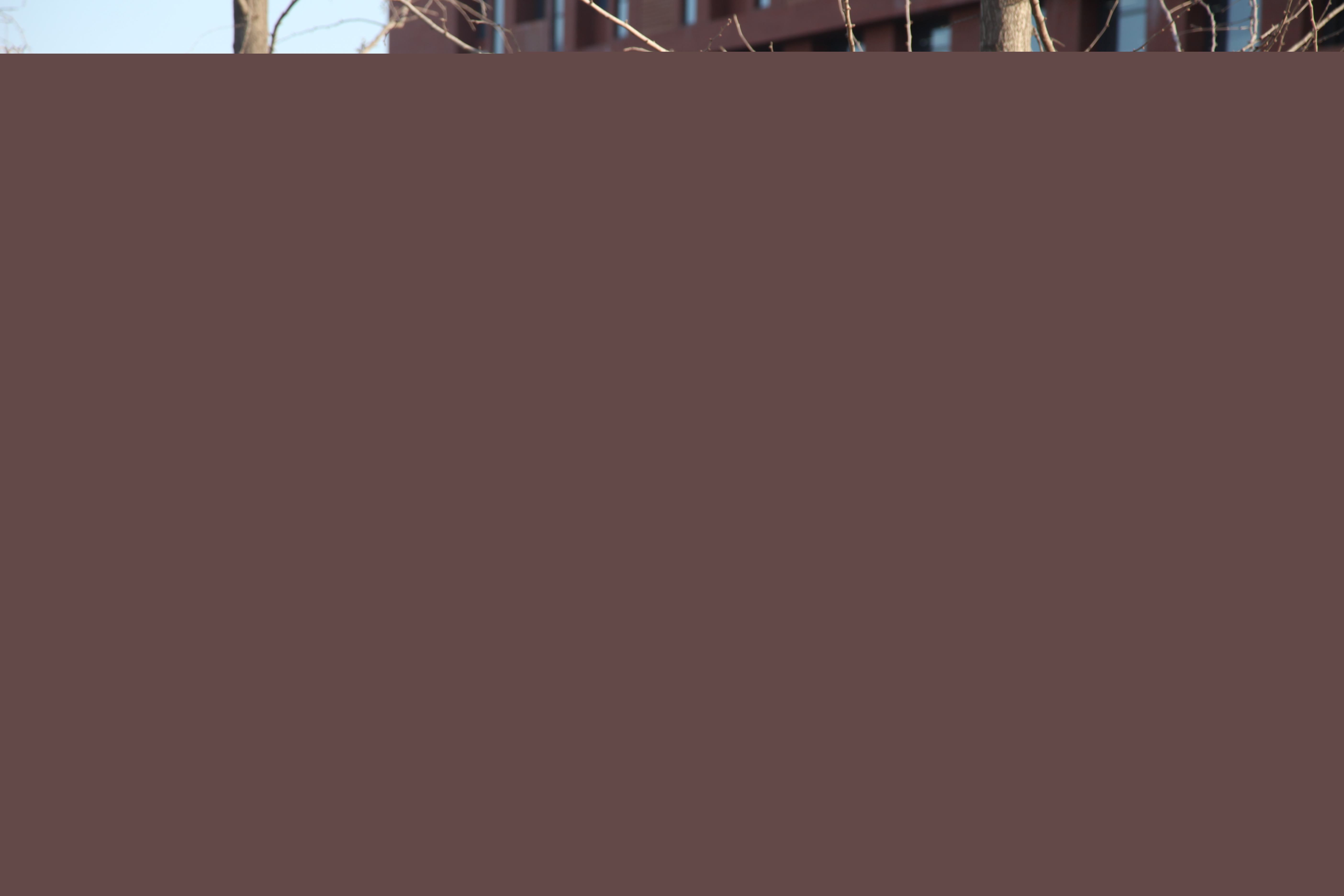 82db21c46526477182dac74160e77ebd.jpg