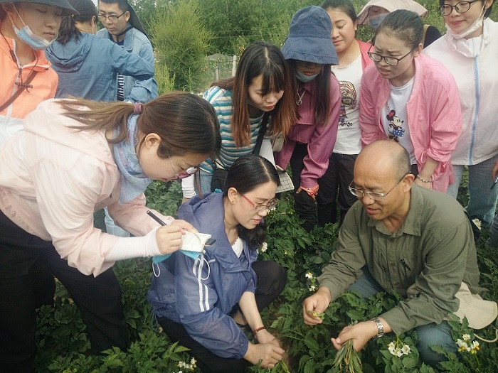320200606在莊浪考察馬鈴薯病害.jpg