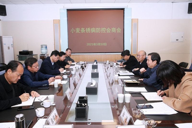 小麥條銹病防控會商會.jpg