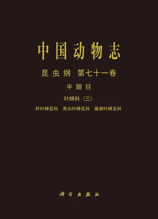 封皮圖片.jpg