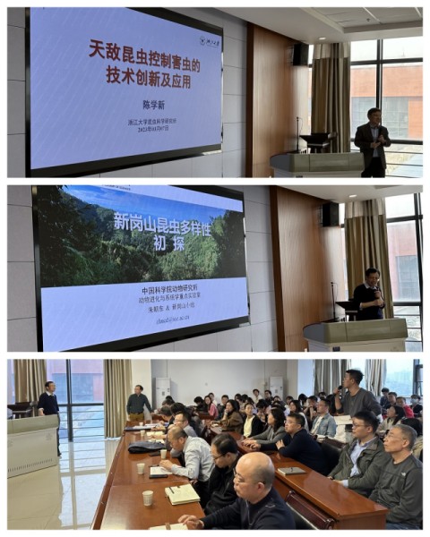 學術(shù)報告會場_秀秀尺寸.jpg