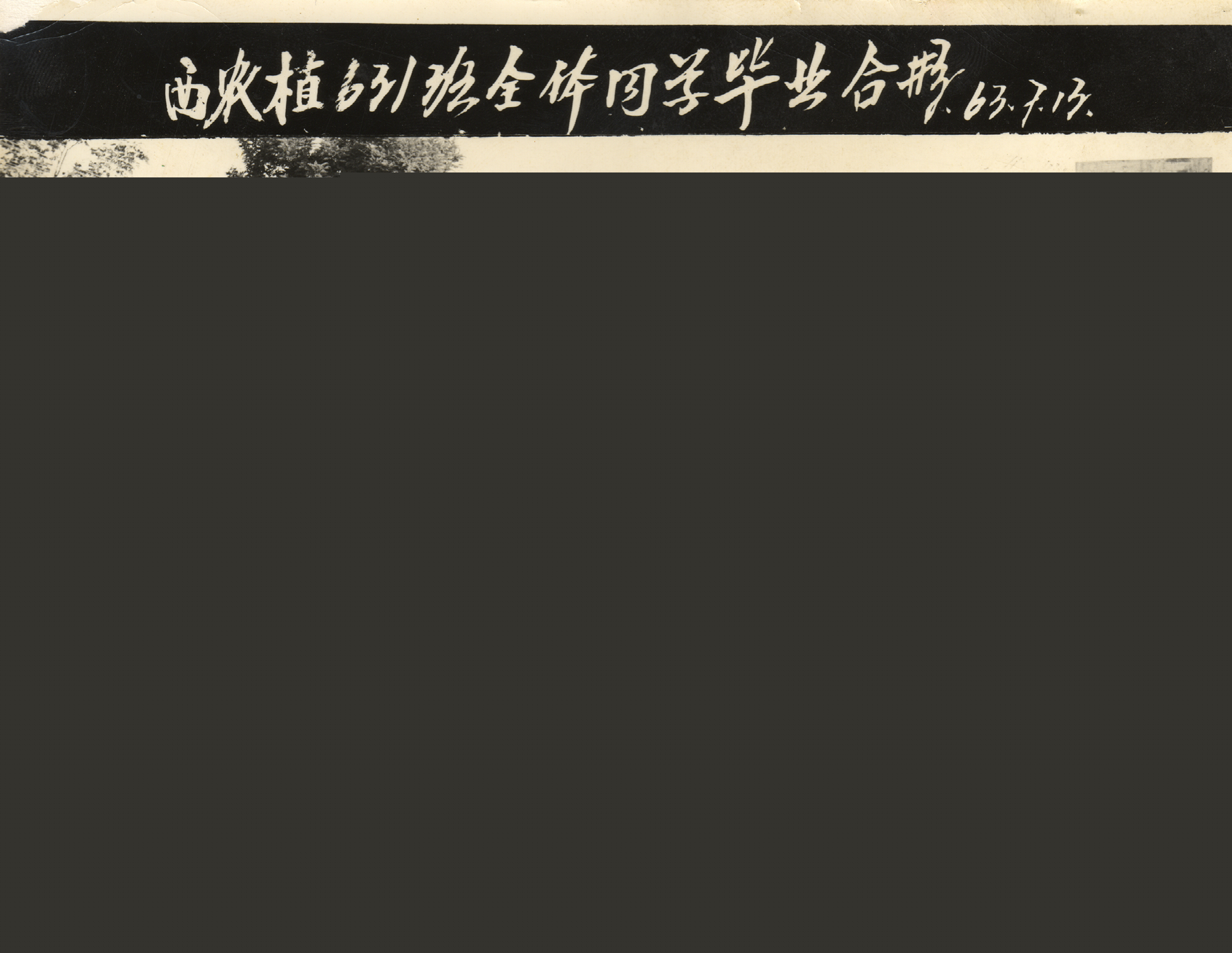 b4f33755da6d4a07b00ee553c748831f.jpg