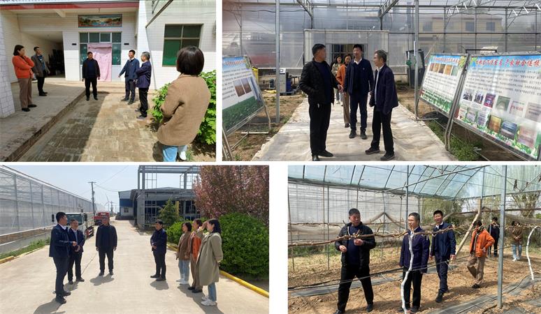 走訪宿舍 參觀葡萄大棚450.jpg