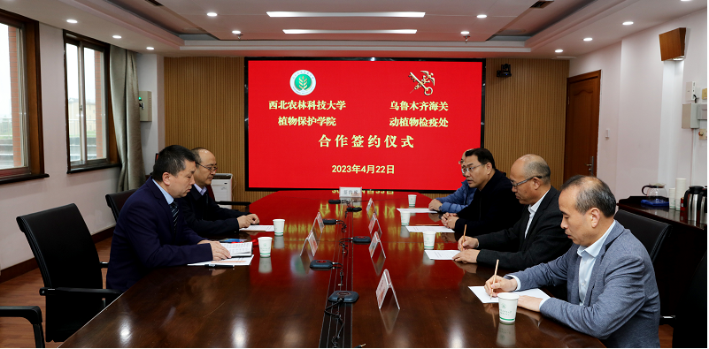 座談會現(xiàn)場.png