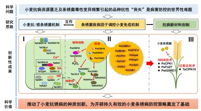 圖片1-700.jpg